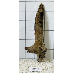 Stump wood 13