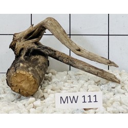 Mangrovewood 111