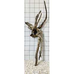 Mangrovewood 112