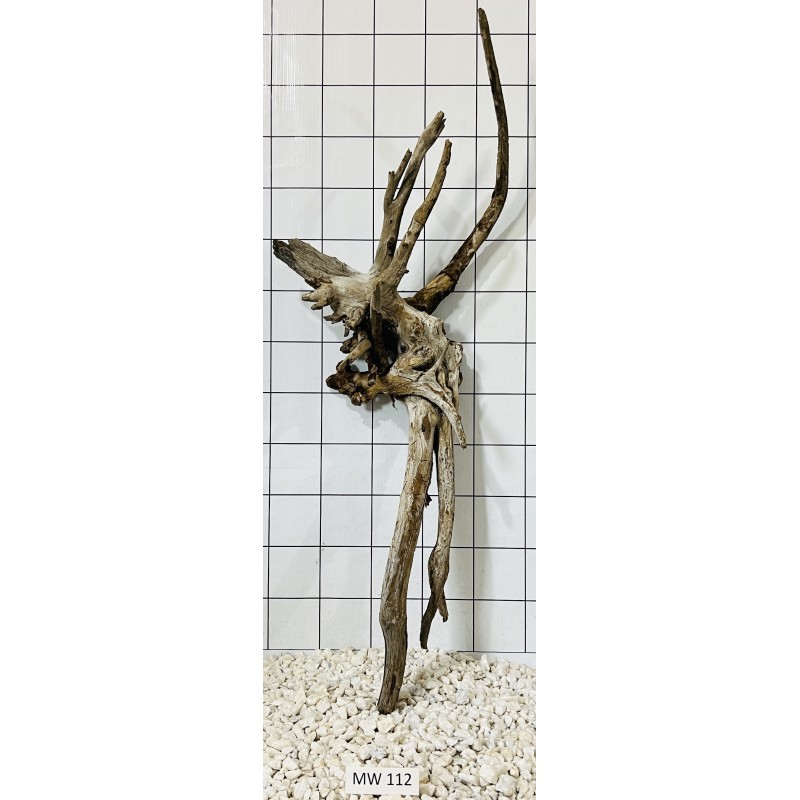 Mangrovewood 112