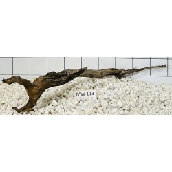 Mangrovewood 113