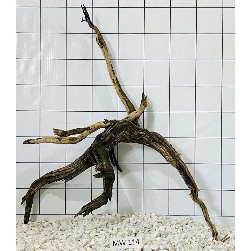 Mangrovewood 114