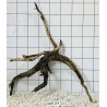 Mangrovewood 114