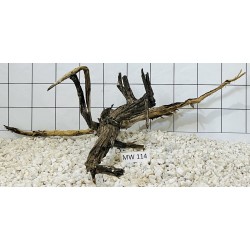 Mangrovewood 114
