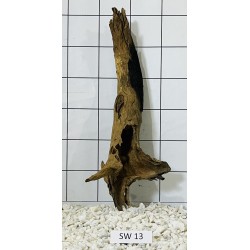 Stump wood 13