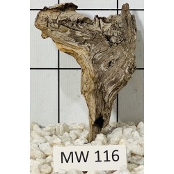 Mangrovewood 116