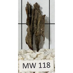 Mangrovewood 118