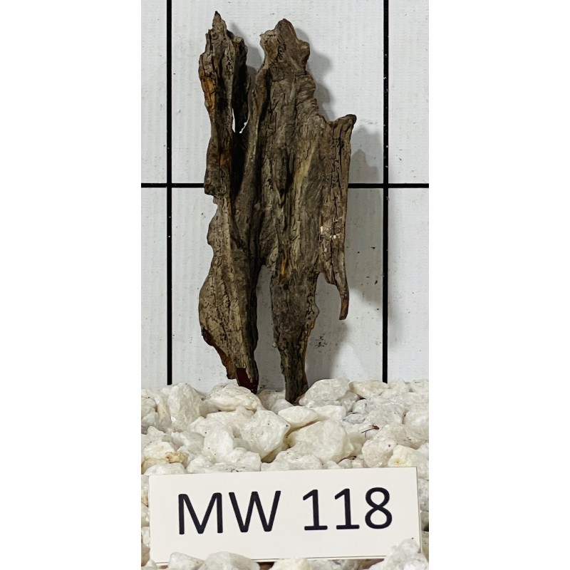 Mangrovewood 118