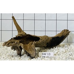 Stump wood 13