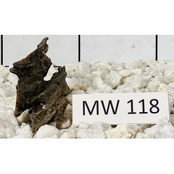 Mangrovewood 118