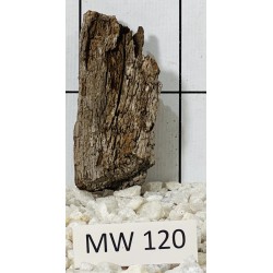 Mangrovewood 120