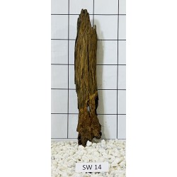 Stump wood 14