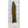 Stump wood 14