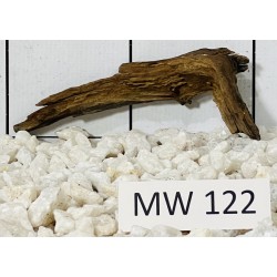 Mangrovewood 122