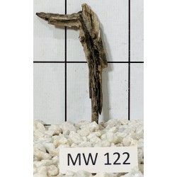 Mangrovewood 122