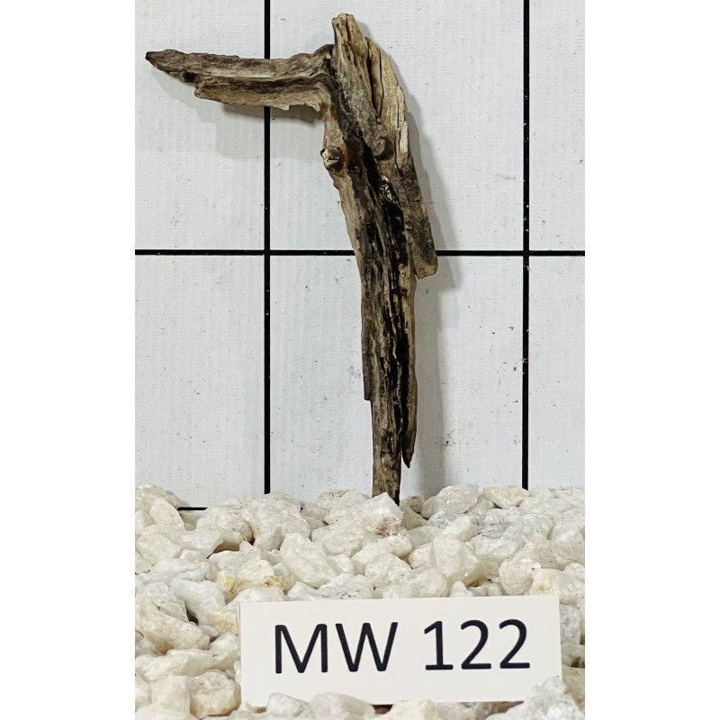 Mangrovewood 122