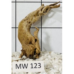 Mangrovewood 123