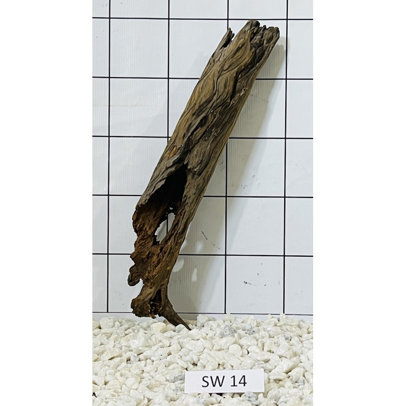 Stump wood 14