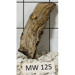 Mangrovewood 125