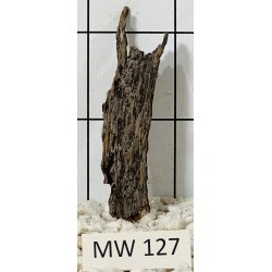 Mangrovewood 127