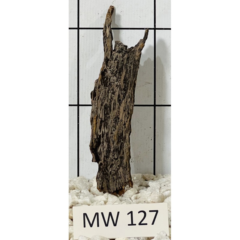 Mangrovewood 127