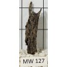 Mangrovewood 127