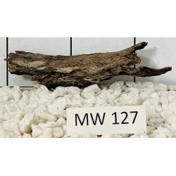 Mangrovewood 127