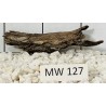 Mangrovewood 127