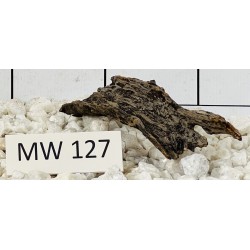 Mangrovewood 127