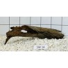 Stump wood 14