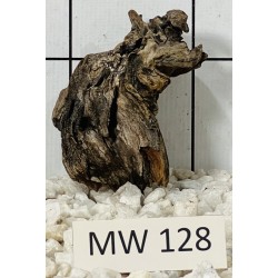 Mangrovewood 128
