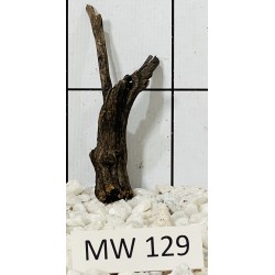 Mangrovewood 129