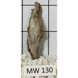 Mangrovewood 130