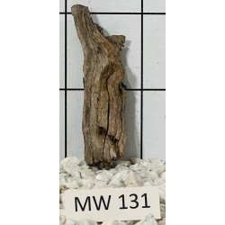 Mangrovewood 131