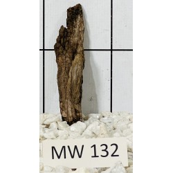 Mangrovewood 132
