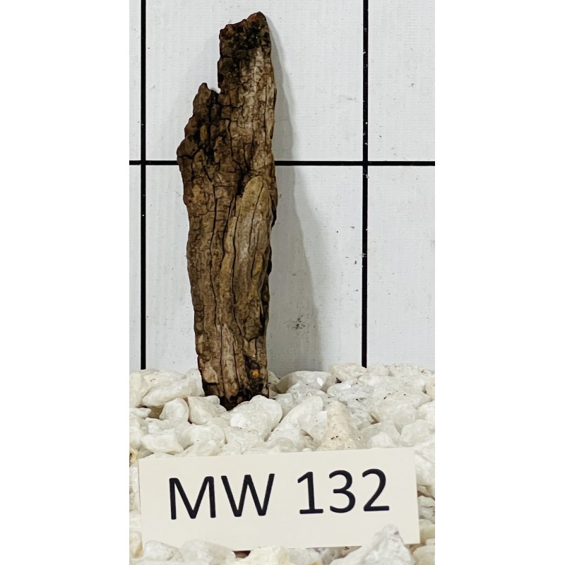 Mangrovewood 132