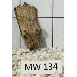 Mangrovewood 134