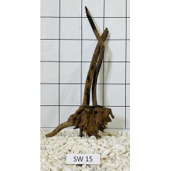 Stump wood 15