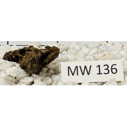 Mangrovewood 136