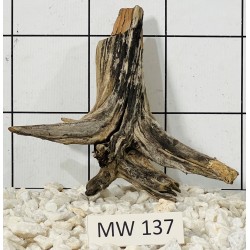 Mangrovewood 137