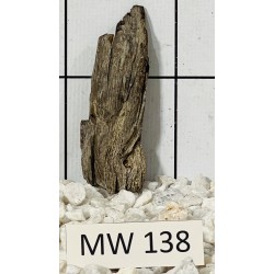 Mangrovewood 138