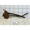Stump wood 15