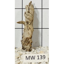 Mangrovewood 139