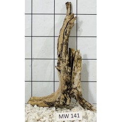 Mangrovewood 141