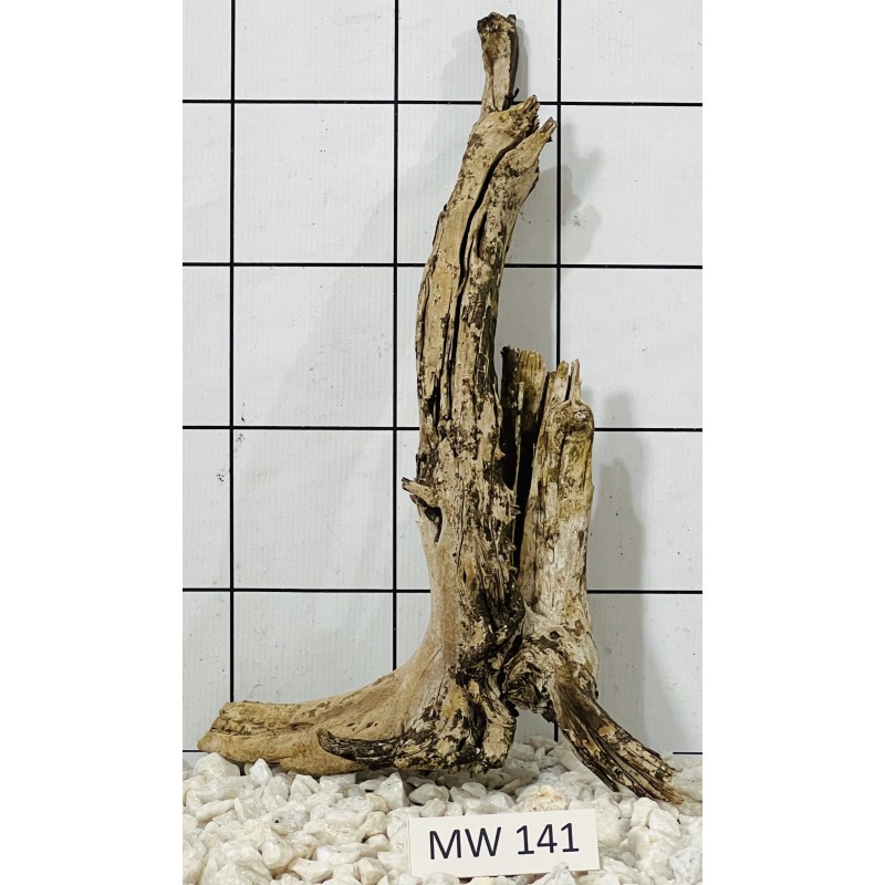 Mangrovewood 141