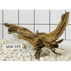 Mangrovewood 141