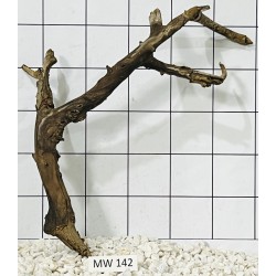 Mangrovewood 142
