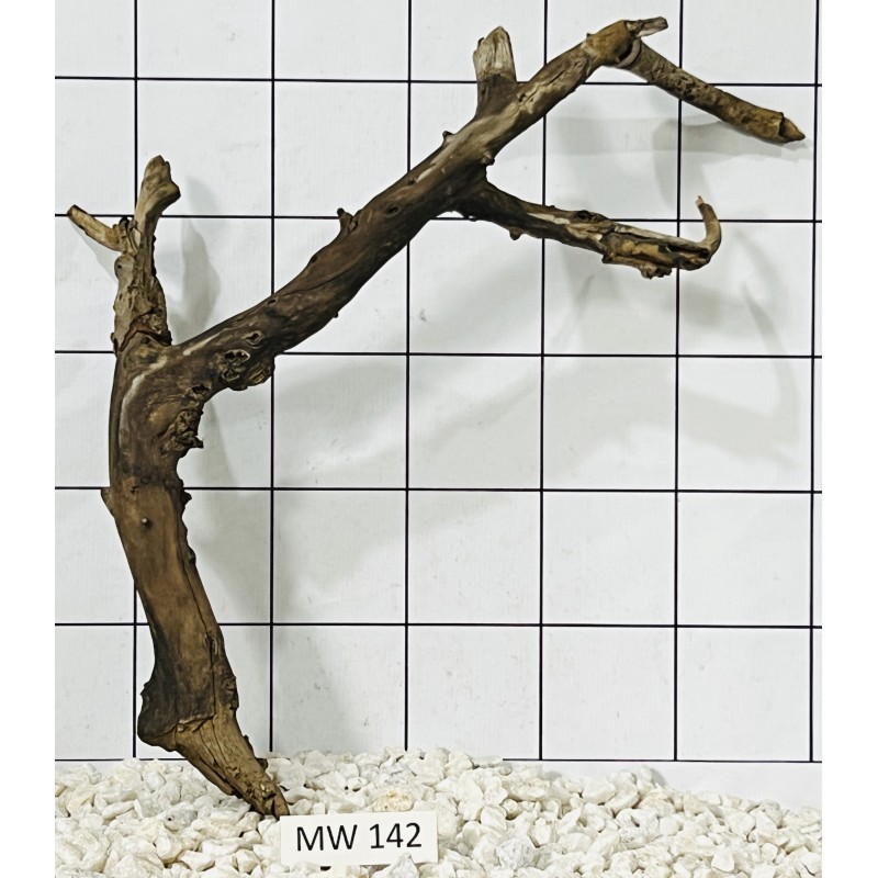 Mangrovewood 142