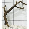 Mangrovewood 142