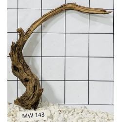 Mangrovewood 143